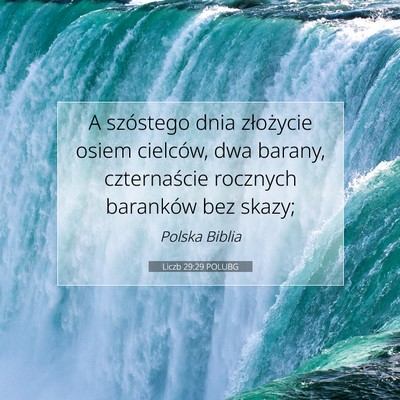 Picture 07 - Liczb 29:29 POLUBG - A szóstego dnia złożycie osiem cielców, dwa - Bible Verse Picture
