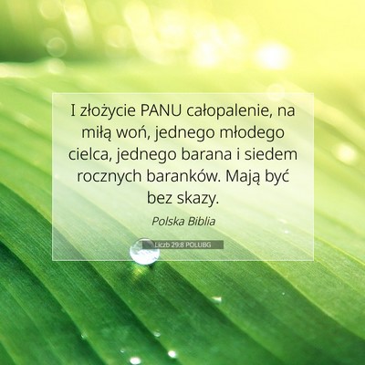 Picture 07 - Liczb 29:8 POLUBG - I złożycie PANU całopalenie, na miłą woń, - Bible Verse Picture