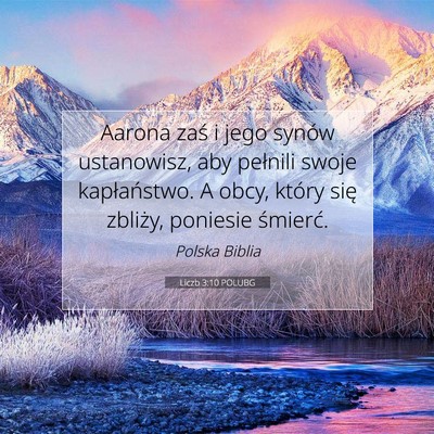 Picture 07 - Liczb 3:10 POLUBG - Aarona zaś i jego synów ustanowisz, aby - Bible Verse Picture