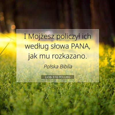 Picture 07 - Liczb 3:16 POLUBG - I Mojżesz policzył ich według słowa PANA, jak - Bible Verse Picture