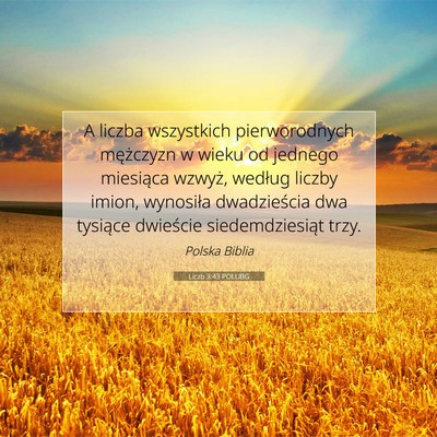 Picture 07 - Liczb 3:43 POLUBG - A liczba wszystkich pierworodnych mężczyzn w - Bible Verse Picture