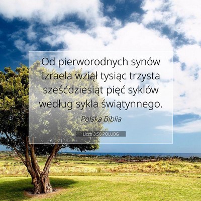 Picture 07 - Liczb 3:50 POLUBG - Od pierworodnych synów Izraela wziął tysiąc - Bible Verse Picture
