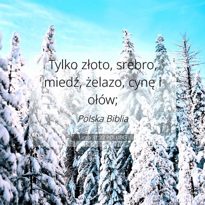 Picture 07 - Liczb 31:22 POLUBG - Tylko złoto, srebro, miedź, żelazo, cynę i - Bible Verse Picture