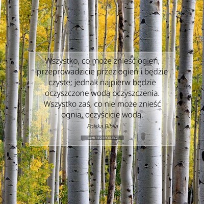 Picture 07 - Liczb 31:23 POLUBG - Wszystko, co może znieść ogień, - Bible Verse Picture