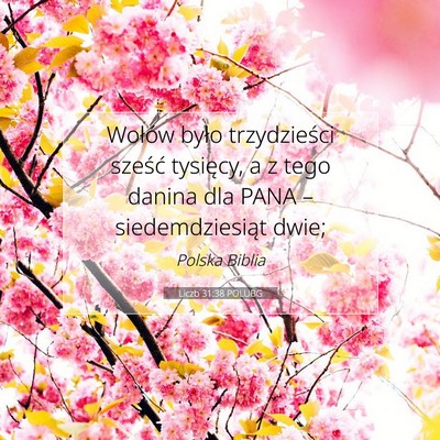 Picture 07 - Liczb 31:38 POLUBG - Wołów było trzydzieści sześć tysięcy, a z - Bible Verse Picture