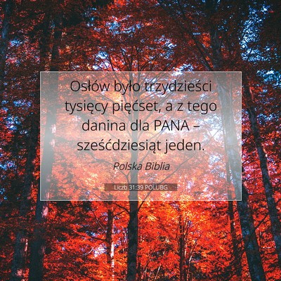 Picture 07 - Liczb 31:39 POLUBG - Osłów było trzydzieści tysięcy pięćset, a - Bible Verse Picture