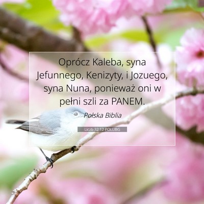 Picture 07 - Liczb 32:12 POLUBG - Oprócz Kaleba, syna Jefunnego, Kenizyty, i - Bible Verse Picture