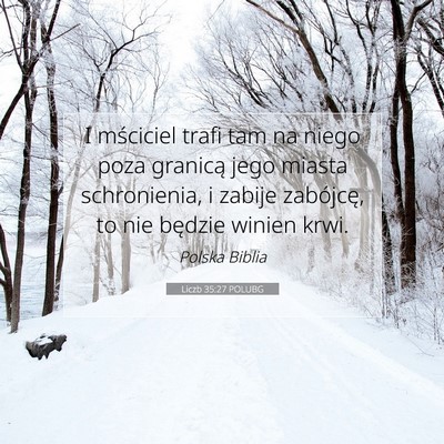 Picture 07 - Liczb 35:27 POLUBG - I mściciel trafi tam na niego poza granicą jego - Bible Verse Picture