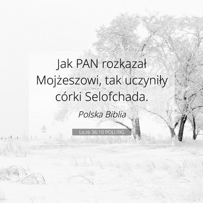 Picture 07 - Liczb 36:10 POLUBG - Jak PAN rozkazał Mojżeszowi, tak uczyniły - Bible Verse Picture