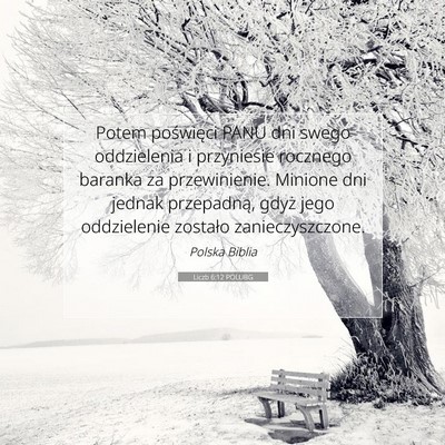Picture 07 - Liczb 6:12 POLUBG - Potem poświęci PANU dni swego oddzielenia i - Bible Verse Picture