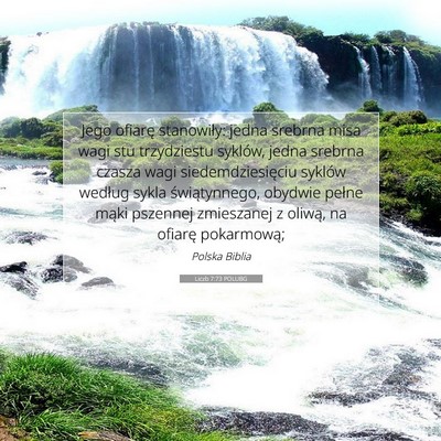 Picture 07 - Liczb 7:73 POLUBG - Jego ofiarę stanowiły: jedna srebrna misa wagi - Bible Verse Picture
