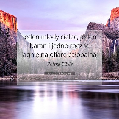 Picture 07 - Liczb 7:75 POLUBG - Jeden młody cielec, jeden baran i jedno roczne - Bible Verse Picture