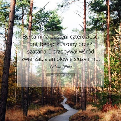 Picture 07 - Marka 1:13 POLUBG - Był tam na pustyni czterdzieści dni, będąc - Bible Verse Picture