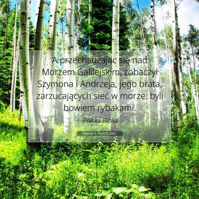 Picture 07 - Marka 1:16 POLUBG - A przechadzając się nad Morzem Galilejskim, - Bible Verse Picture