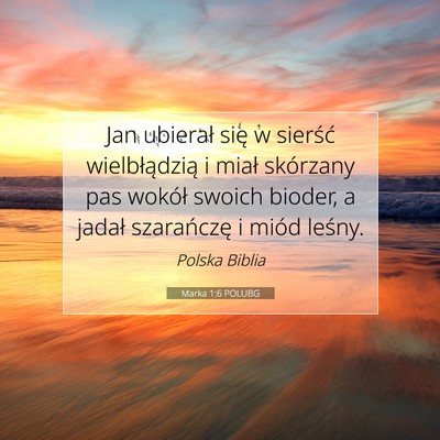 Picture 07 - Marka 1:6 POLUBG - Jan ubierał się w sierść wielbłądzią i - Bible Verse Picture