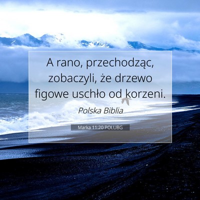 Picture 07 - Marka 11:20 POLUBG - A rano, przechodząc, zobaczyli, że drzewo - Bible Verse Picture