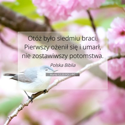 Picture 07 - Marka 12:20 POLUBG - Otóż było siedmiu braci. Pierwszy ożenił - Bible Verse Picture