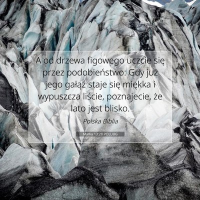 Picture 07 - Marka 13:28 POLUBG - A od drzewa figowego uczcie się przez - Bible Verse Picture