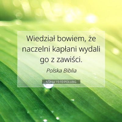 Picture 07 - Marka 15:10 POLUBG - Wiedział bowiem, że naczelni kapłani wydali go - Bible Verse Picture