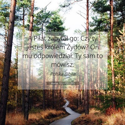 Picture 07 - Marka 15:2 POLUBG - A Piłat zapytał go: Czy ty jesteś królem - Bible Verse Picture