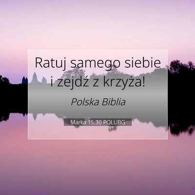 Picture 07 - Marka 15:30 POLUBG - Ratuj samego siebie i zejdź z - Bible Verse Picture