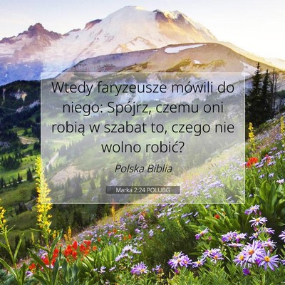 Picture 07 - Marka 2:24 POLUBG - Wtedy faryzeusze mówili do niego: Spójrz, czemu - Bible Verse Picture
