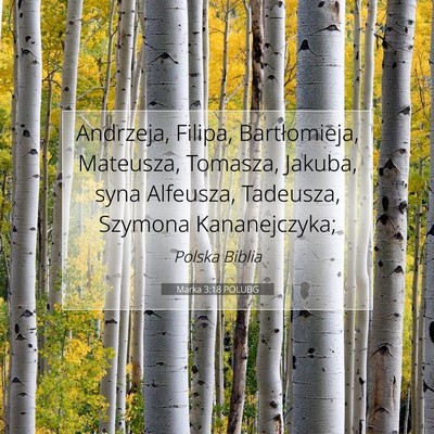 Picture 07 - Marka 3:18 POLUBG - Andrzeja, Filipa, Bartłomieja, Mateusza, - Bible Verse Picture