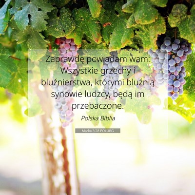 Picture 07 - Marka 3:28 POLUBG - Zaprawdę powiadam wam: Wszystkie grzechy i - Bible Verse Picture