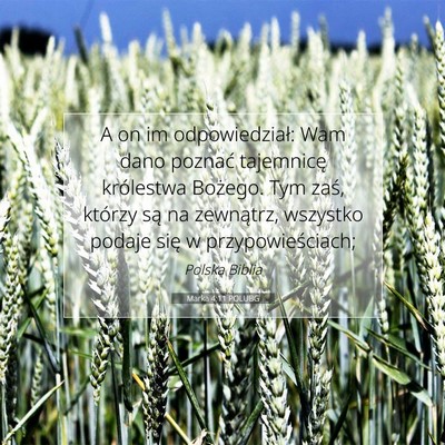 Picture 07 - Marka 4:11 POLUBG - A on im odpowiedział: Wam dano poznać - Bible Verse Picture