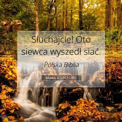 Picture 07 - Marka 4:3 POLUBG - Słuchajcie! Oto siewca wyszedł - Bible Verse Picture