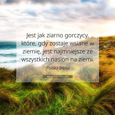 Picture 07 - Marka 4:31 POLUBG - Jest jak ziarno gorczycy, które, gdy zostaje - Bible Verse Picture