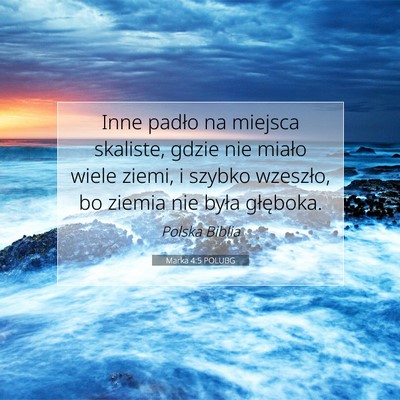 Picture 07 - Marka 4:5 POLUBG - Inne padło na miejsca skaliste, gdzie nie miało - Bible Verse Picture