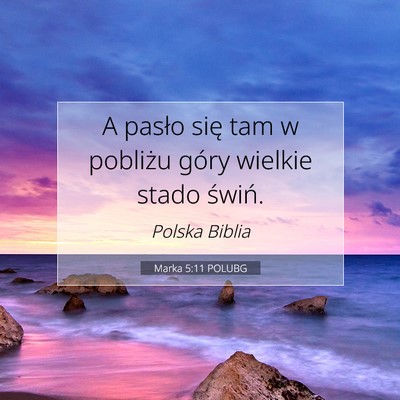 Picture 07 - Marka 5:11 POLUBG - A pasło się tam w pobliżu góry wielkie stado - Bible Verse Picture