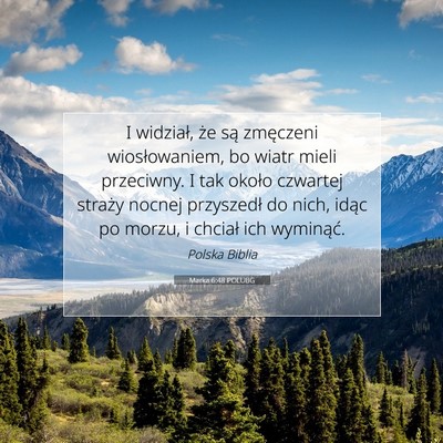 Picture 07 - Marka 6:48 POLUBG - I widział, że są zmęczeni wiosłowaniem, bo - Bible Verse Picture