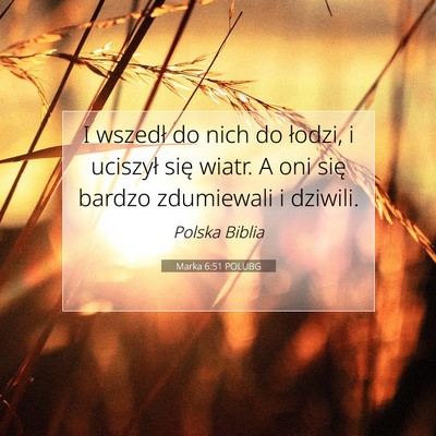 Picture 07 - Marka 6:51 POLUBG - I wszedł do nich do łodzi, i uciszył się - Bible Verse Picture