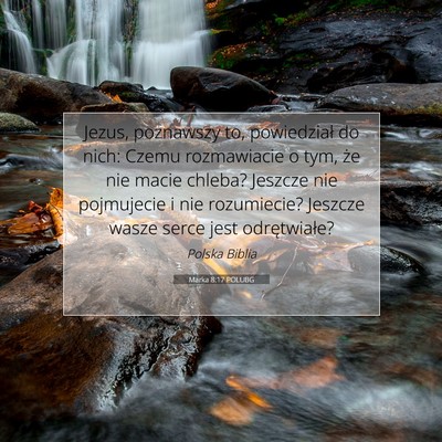 Picture 07 - Marka 8:17 POLUBG - Jezus, poznawszy to, powiedział do nich: Czemu - Bible Verse Picture