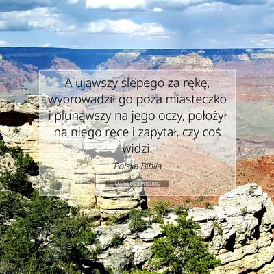Picture 07 - Marka 8:23 POLUBG - A ująwszy ślepego za rękę, wyprowadził go - Bible Verse Picture
