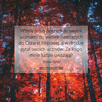 Picture 07 - Marka 8:27 POLUBG - Wtedy Jezus poszedł ze swymi uczniami do wiosek - Bible Verse Picture