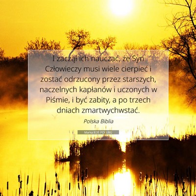 Picture 07 - Marka 8:31 POLUBG - I zaczął ich nauczać, że Syn Człowieczy musi - Bible Verse Picture