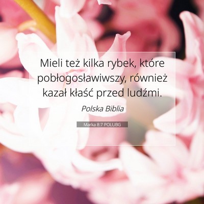 Picture 07 - Marka 8:7 POLUBG - Mieli też kilka rybek, które - Bible Verse Picture
