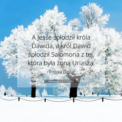 Picture 07 - Mateusza 1:6 POLUBG - A Jesse spłodził króla Dawida, a król Dawid - Bible Verse Picture