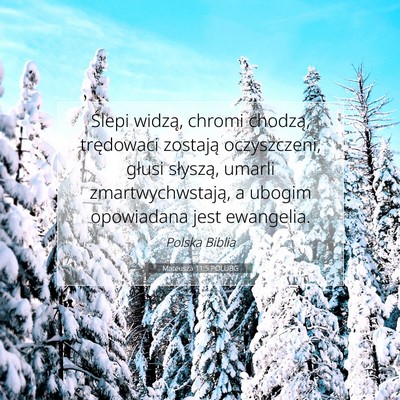 Picture 07 - Mateusza 11:5 POLUBG - Ślepi widzą, chromi chodzą, trędowaci - Bible Verse Picture