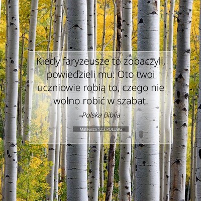Picture 07 - Mateusza 12:2 POLUBG - Kiedy faryzeusze to zobaczyli, powiedzieli mu: - Bible Verse Picture