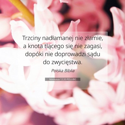 Picture 07 - Mateusza 12:20 POLUBG - Trzciny nadłamanej nie złamie, a knota tlącego - Bible Verse Picture