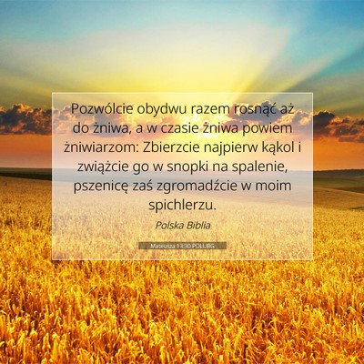 Picture 07 - Mateusza 13:30 POLUBG - Pozwólcie obydwu razem rosnąć aż do żniwa, a - Bible Verse Picture
