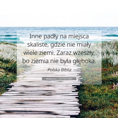 Picture 07 - Mateusza 13:5 POLUBG - Inne padły na miejsca skaliste, gdzie nie miały - Bible Verse Picture