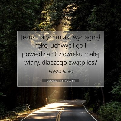 Picture 07 - Mateusza 14:31 POLUBG - Jezus natychmiast wyciągnął rękę, uchwycił - Bible Verse Picture