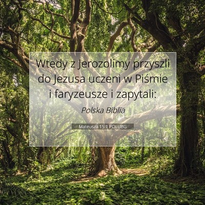 Picture 07 - Mateusza 15:1 POLUBG - Wtedy z Jerozolimy przyszli do Jezusa uczeni w - Bible Verse Picture