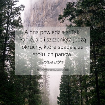 Picture 07 - Mateusza 15:27 POLUBG - A ona powiedziała: Tak, Panie, ale i szczenięta - Bible Verse Picture