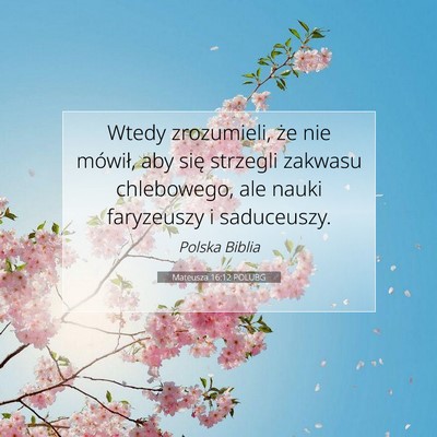 Picture 07 - Mateusza 16:12 POLUBG - Wtedy zrozumieli, że nie mówił, aby się - Bible Verse Picture